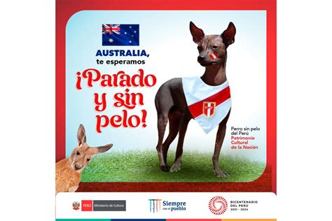 ¡parado Y Sin Pelo Ministerio De Cultura Celebrará El Día Del Perro