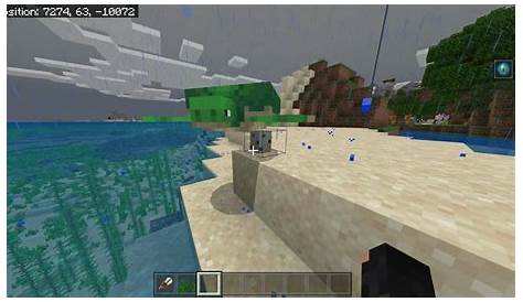 where to find turtle eggs in minecraft
