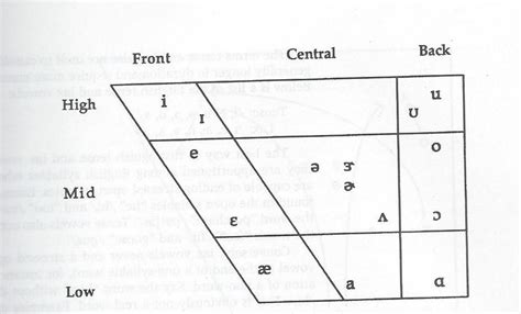 Vowel Quadrilateral Speech Therapy Materials Learn Phonetics Speech