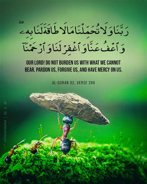 After Hardship Allah Will Bring About Ease Quran Verses Allah Quran