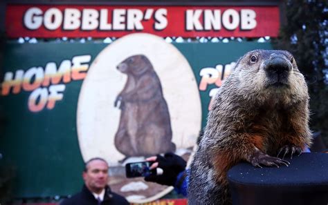 How many days did phil relive groundhog day - gailoco