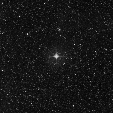 22 Cygni Star In Cygnus