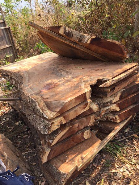 Order) cn dongguan seeland trading co., ltd. Monkey wood coffee table | Sequoia Santa Fe