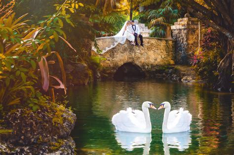 Wedding And Photoshoot Venue Secret Gardens Miami Homestead Florida