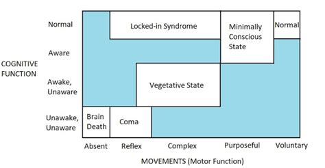 What Is A Coma And Why People Fall Into A Coma Psychmechanics