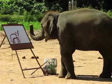 Video Watch Amazing Elephant Paint Portrait Of Herself But Is
