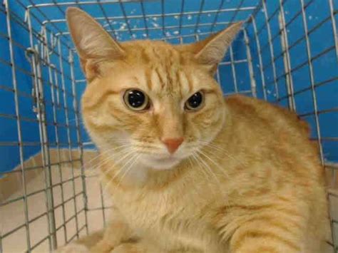 TO BE DESTROYED 7/16/13 Brooklyn Center My name is BREEZY ...
