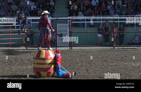 Rodeo Clown Stock Videos And Footage Hd And 4k Video Clips Alamy