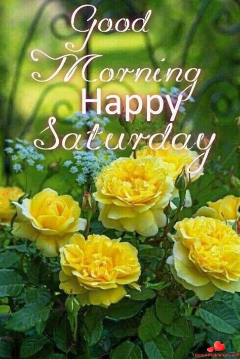 Happy Saturday Pictures Good Morning Saturday Images Good Morning