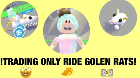 Only Trading Ride Golden Rat In Roblox Adopt Me Youtube