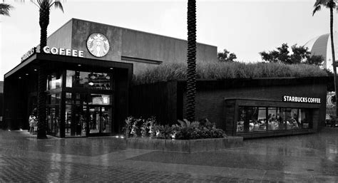 Starbucks Store Downtown Disney Work One Photograph By David Lee Thompson
