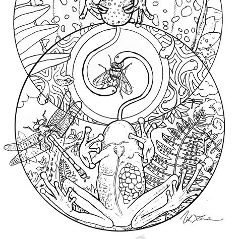 Download Exotic and endangered species coloring book 'Last Chance ...