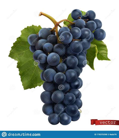 Wine Grapes Fresh Fruit 3d Realistic Vector Stock Vector
