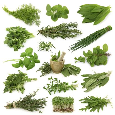 Fresh Herbs Healthy Recipes Provencal Herbs De Provence Thyme Rosemary