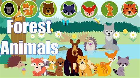 Learn Forest Animals Names Sounds And More Youtube