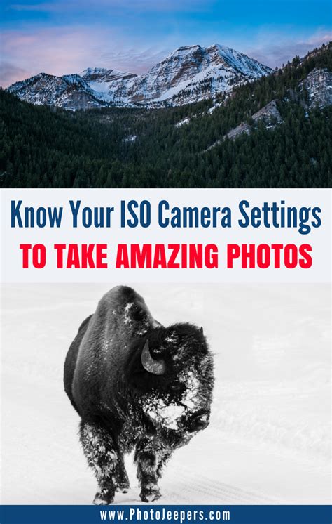 How Does the ISO Camera Setting Affect My Photos? | Camera photography