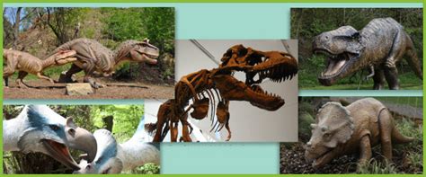 Early Learning Resources Dinosaur Photo Pack Photographs For Teachers