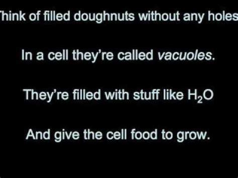 Why is rap not a poem? Cell Theory Rap - YouTube