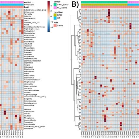 Clustered Heatmap Of Bacterial Genera Sample Group Associations In A