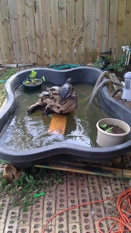 Everyone Can Make Diy Backyard Turtle Pond Designs Ideas