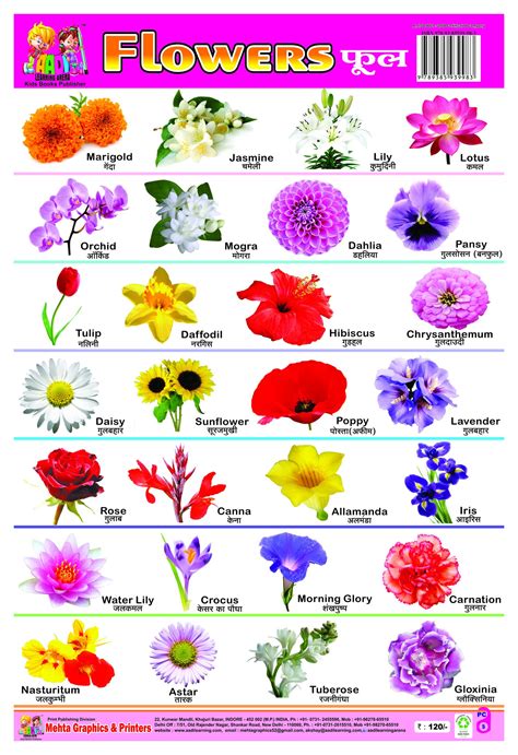Flower Chart With Names And Pictures