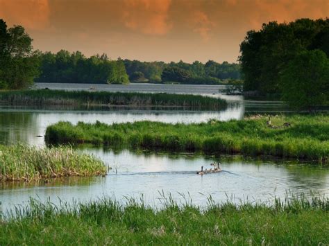 Free Images Landscape Nature Forest Marsh Swamp Wilderness Sky