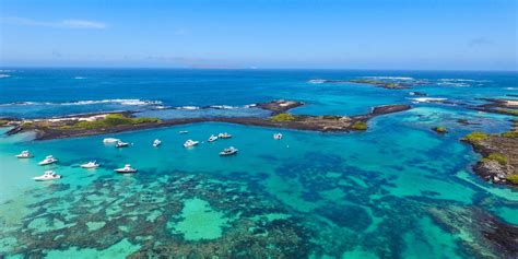 Top 9 Diving Tips For The Galapagos Islands