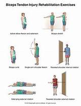 Pictures of Bicep Exercises