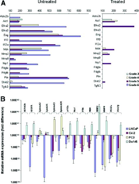 A Differential Expression Of Angiogenesis Related Genes During