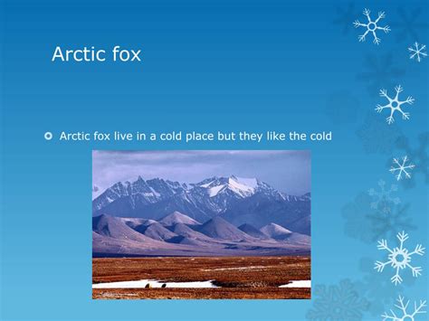 Ppt Arctic Fox Powerpoint Presentation Free Download Id2368821