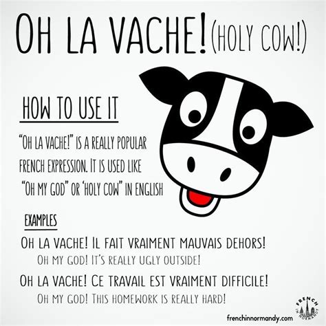 37 Best French Jokes Images On Pinterest French Language Funny Stuff