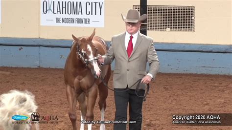 2020 Aqha Select Weanling Fillies Youtube