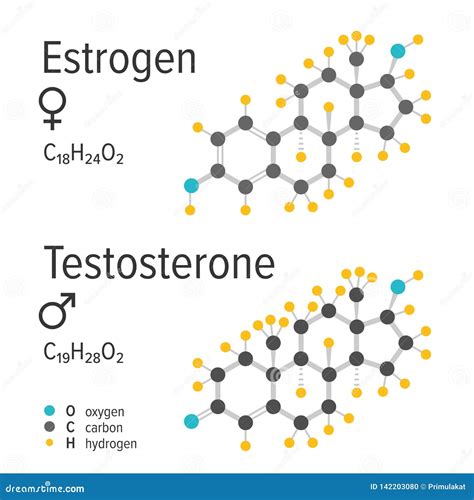 Estrogen And Testosteron Hormones Vector Chemical Formulas Stock Vector Illustration Of Female