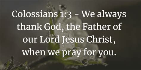 Colossians 1 Bible Study Guide And Commentary Pauls Prayer