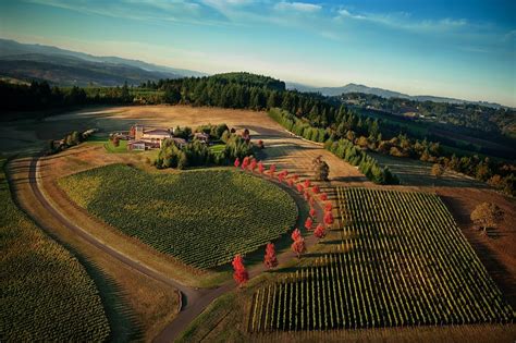 Guía De Visitantes De Dundee Oregon Wine Country Turner Blog
