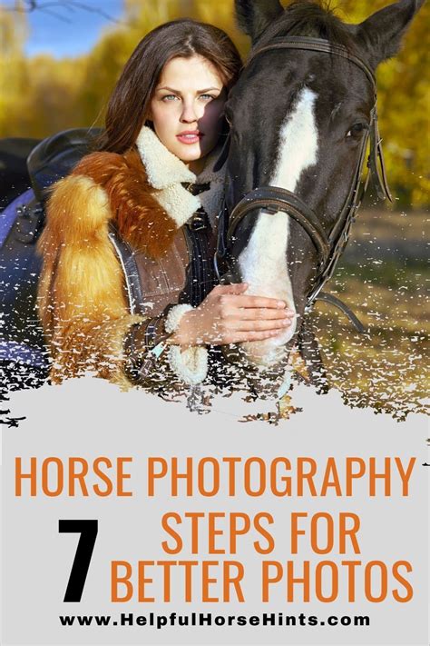 Creative Horse Photography 7 Steps For Taking Better Pictures