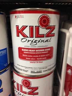 Kilz Over Mold