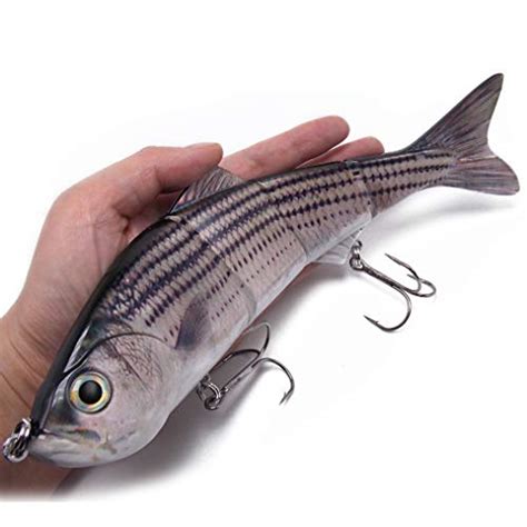 Best Fishing Lures For Striped Bass Currentyear Fisherman Journal