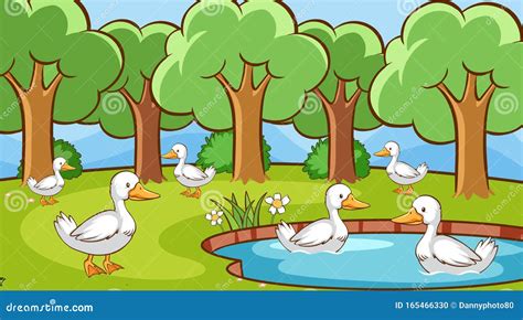 Scene With Many Ducks In The Pond Stock Vector Illustration Of Pond