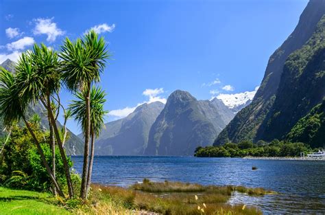 Other travellers, including new zealand residents, can enter only if they spend 14 days outside a very high risk country before their arrival here. 101 Crazy Fun Facts About New Zealand (Kids' Facts ...