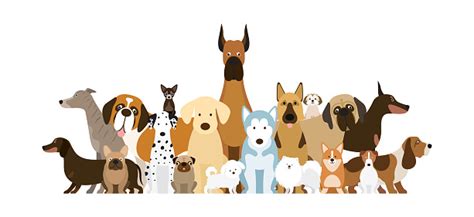 Group Of Dog Breeds Illustration Stock Illustration Download Image