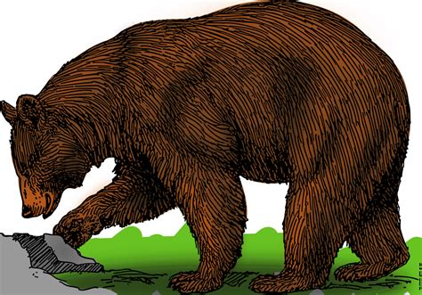 Onlinelabels Clip Art Colored Bear