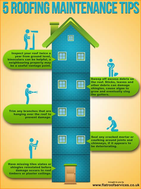 Tips On How To Maintain Your Roof Infographics