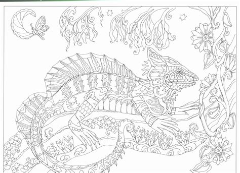 Advanced Coloring Magnificent Animals Inspirational This Will Print On