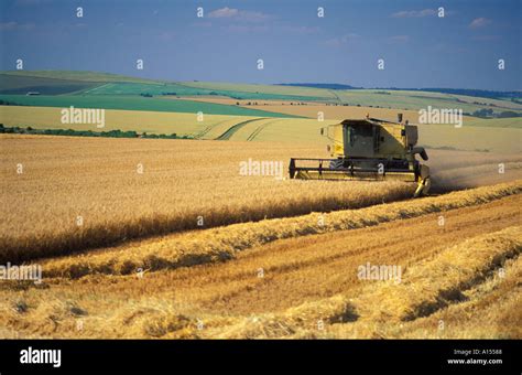 Combine Harvester Salisbury Plain Wiltshire Uk Stock Photo Alamy