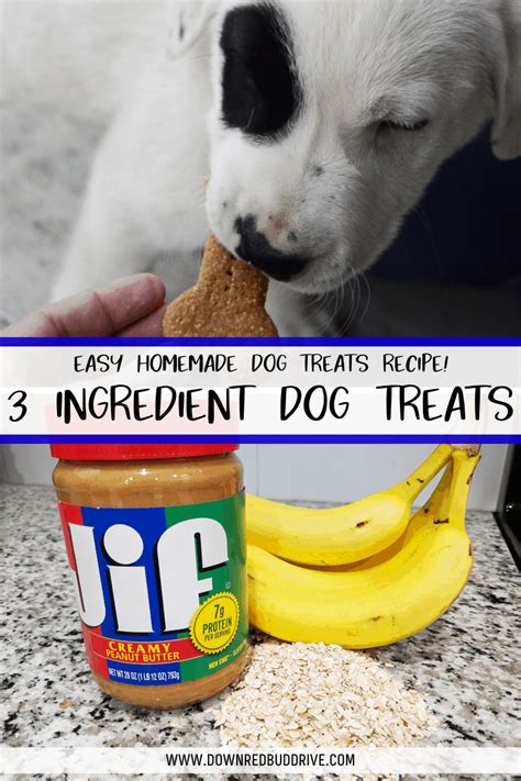 Easy 3 Ingredient Homemade Dog Treats Recipe Recipe Dog Treats