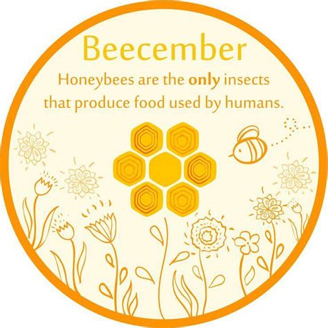 Pin By Medicine Nation On Save The Bees Bee Facts Backyard Bee Save