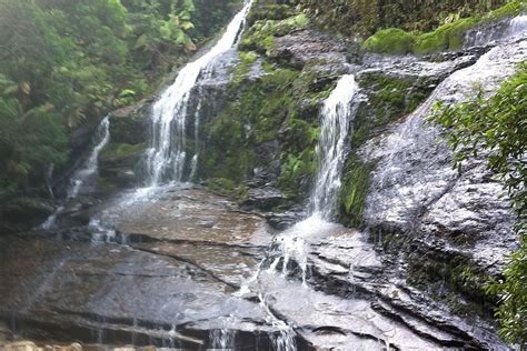 A Waterfall In The Tarkine Wilderness North West Tasmania Abc News