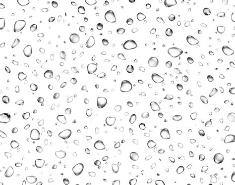 Free Rain Drops Transparent Background Download Free Rain Drops Transparent Background Png
