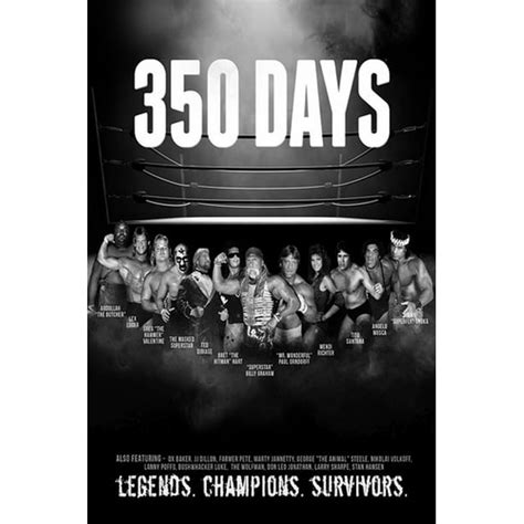 350 Days Dvd